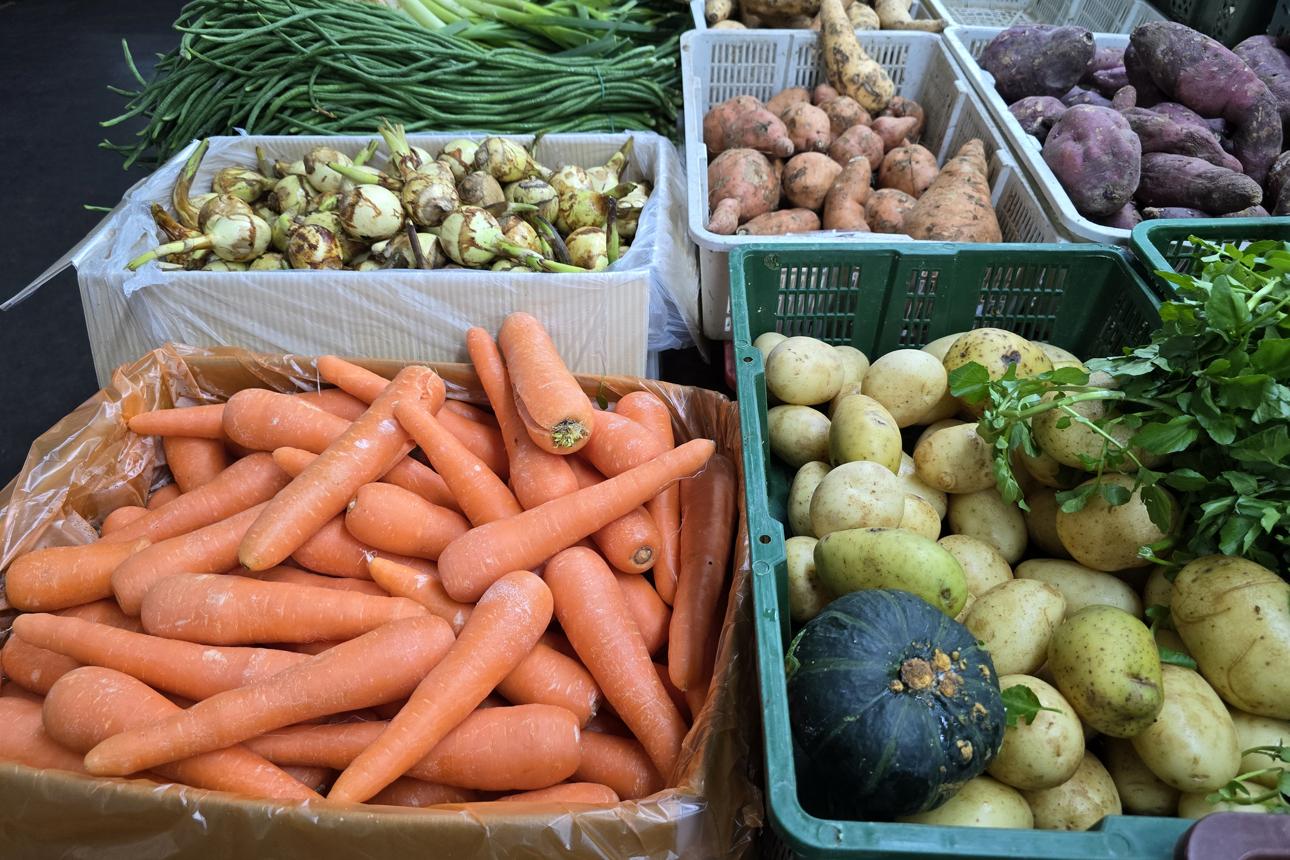 root vegetables